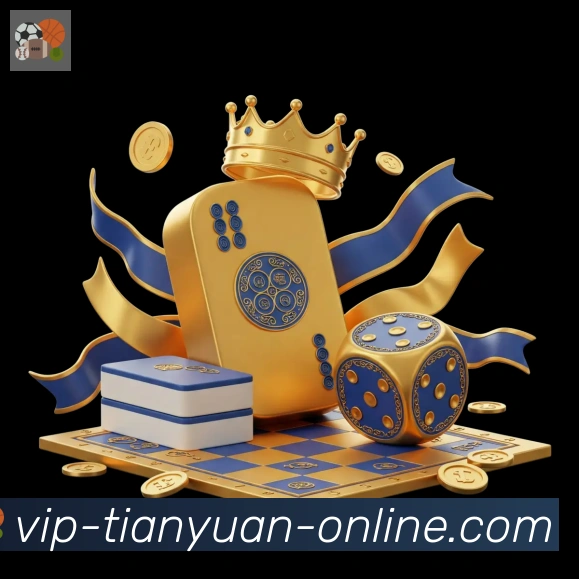 天元棋牌荣誉